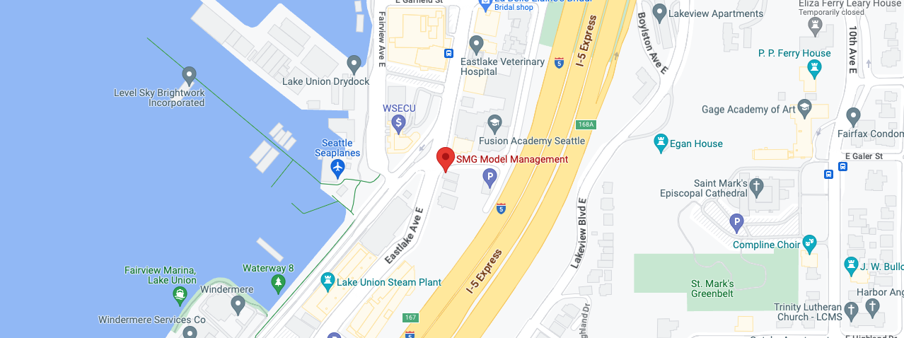 SMG Model Management map